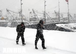 遭暴雪袭击烟台连降12天威海累计雪深超2米(组图)